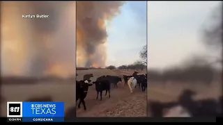 North Texans helping Texas Panhandle wildfire victims