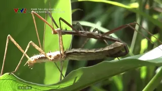 The relationship between nature and man