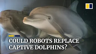 Hyperrealistic robot dolphins may replace captive animals at marine theme parks