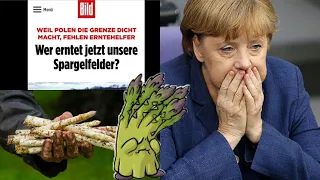 POWAŻNY PROBLEM NIEMCÓW: Kto zbierze niemieckie szparagi?!