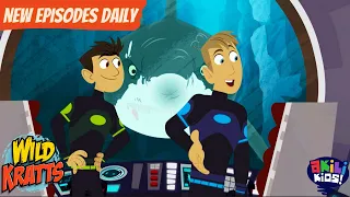 Wild Kratts | An Underwater Adventure | Akili Kids!