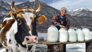 A Super-delicious, Homemade Cheese From The Country! Simple Rural Life