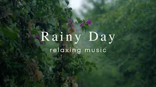Relaxing Music and Rain | Stress Relief Calm Sleep 1 Hour