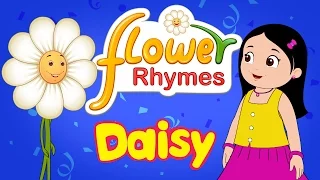 Flower Rhymes for Children - Daisy