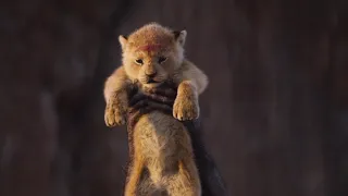 The Lion King - De Kringloop van het Leven (NL gesproken) - Disney NL