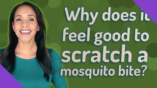 Why does it feel good to scratch a mosquito bite?