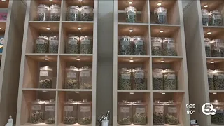 High hopes for marijuana to hit store shelves sooner this summer