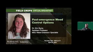 Field Crops Virtual Breakfast: Postemergence Weed Control Options