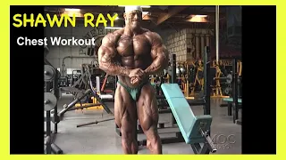 SHAWN RAY - CHEST WORKOUT - Final Countdown DVD (1998)