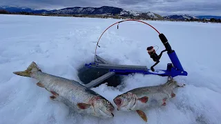 RAINBOW Trout ICE Fishing in the MOUNTAINS! (Catch, Clean n' Cook)