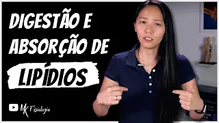 Digestão e absorção de lipídios | MK Fisiologia