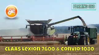 Harvest 2022 | Claas Lexion 7600 combine with Convio 1080 header