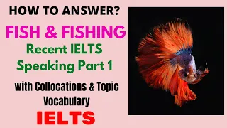 FISH OR FISHING IELTS SPEAKING PART 1 RECENT TOPIC |2020| With Collocations & Topic Vocabulary Words