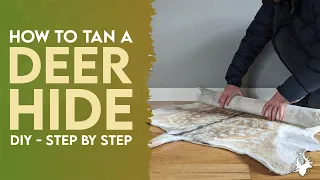 How to tan a deer hide/skin (start to finish) | DIY taxidermy guide
