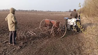 Сіємо ячмінь Одіссей (1 р.) , весна 2021. Sowing barley.