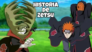 Naruto: La Historia de ZETSU NEGRO | La vida de Zetsu