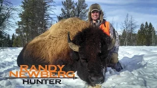 Hunting Montana Buffalo with Randy Newberg - Free Range Bison (FT S1 E9)