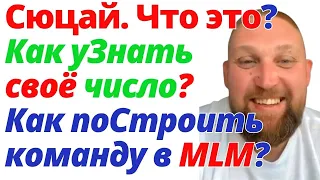 Сюцай. Что за наука? Как уЗнать своё число Сознания и Миссии? Как поСтроить команду в 3500 человек?