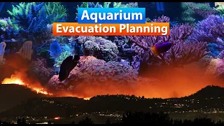 Aquarium - Planning for and Surviving an Evacuation