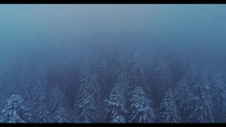 Mad as the Mist and Snow by W.B. Yeats (read by Tom O'Bedlam)