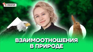 Взаимоотношения в природе | Биология ОГЭ 2022 | Умскул