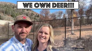 We Own A Herd Of Deer! High Fence Pen Is Up! 1969 Ford f250 4x4 Diesel Project...