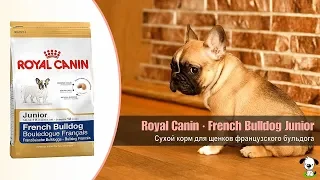 Сухой корм для щенков французского бульдога до 12 месяцев · Royal Canin French Bulldog Junior