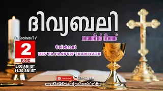 HOLY MASS|LATIN MASS|02 JUNE 2024 | FR FRANCIS THANIYATH |MALAYALAM QURBANA|TODAY MASS|GOODNESS TV