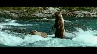 Strange Wilderness - Bears Love Fishing