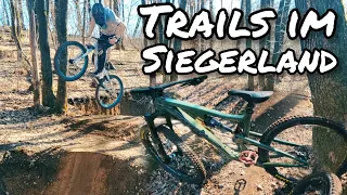 360s und Trails im Siegerland | 4K | Trail Büffel