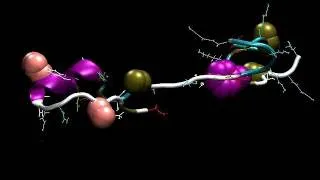 Simulating How Proteins Self-Assemble, Or Fold