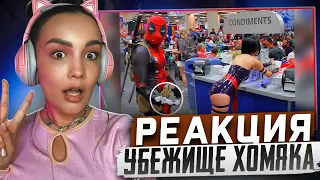 Реакция MILKA PLAY на LIKE A BOSS COMPILATION #101 AMAZING Videos 2023 #ЛайкЭбосс Реакция