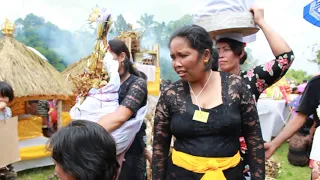 Cremation Ceremony - Bali
