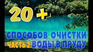 20+ СПОСОБОВ ОЧИСТКИ ВОДЫ В ПРУДУ. ЧАСТЬ 2 | Скиммер, барабанный фильтр, биофильтр, торф, перекись