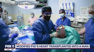 Maryland man recovering after receiving historic pig heart transplant | FOX 5 DC