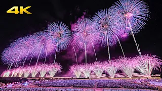 長岡花火 ３年ぶりの復興祈願フェニックス 2022  - Nagaoka Fireworks Phoenix Display 2022 - (Panasonic S5 + BRAW)