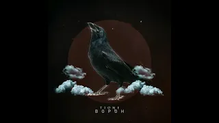 T1One - Ворон (подпишись, чтоб не пропустить новинки 🔔👍) #ворон #t1one