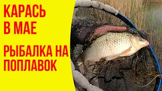 Рыбалка на поплавок | Карась в мае на Каменском водохранилище | Рыбалка 2021