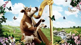 Cows & Classics: Concert in the Country