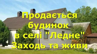 БУДИНОК ПРОДАМ В СЕЛІ "ЛЕДНЕ", ЗАХОДЬ І ЖИВИ / ОГЛЯД / Рівненській обл. Костопільский р-н.