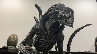 Prime 1 Studios Alien Warrior Deluxe DXS Statue Review