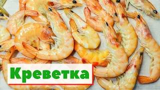 Креветка | Как это сделано