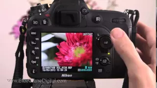 Introduction to the Nikon D7100: Basic Controls