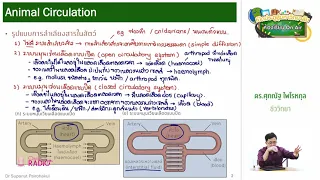 วิชาชีววิทยา ตอนที่ 30 (Animal Circulation I)