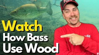 You'll Never Fish Wood and Brush The Same