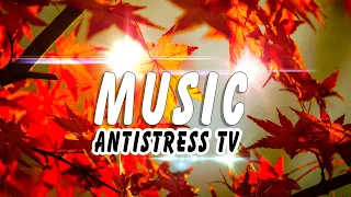 RELAX MUSIC 💧 Золотая Осень и Потрясающая Музыка  ❤ КРАСИВО! #AntistressTV