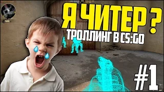 Я ЧИТЕР?! ТРОЛЛИНГ(Школьник)