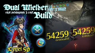 [Tier 3 skill!!] Dual Sword DPS Build lvl 50 "Dual Wielder" Low budget | Toram Online Indonesia |