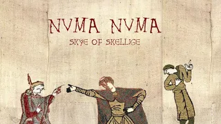 Numa Numa - Bardcore/Tavernwave Cover