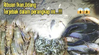 PERANGKAP MELINGKAR TEBING NELAYAN SUNGAI SIAK #jebakanikan